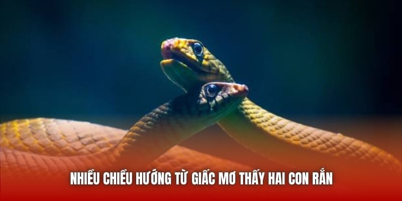 Nhiều chiều hướng từ giấc mơ thấy hai con rắn
