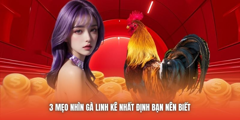 3 mẹo nhìn gà linh kê nhất định bạn nên biết 